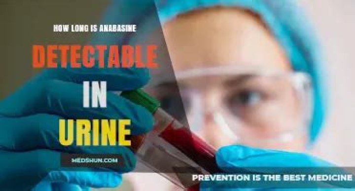 How long is anabasine detectable in urine?