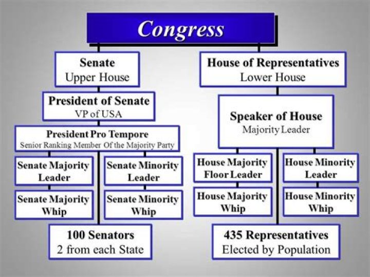 How long is each term for which congress convenes?