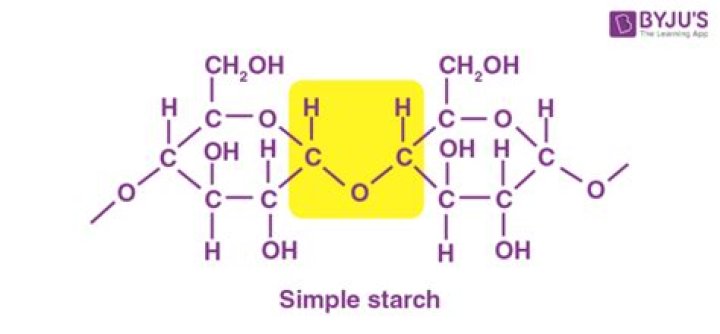 How starch is formed?