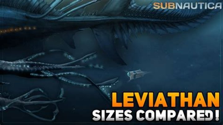 How tall is leviathan?