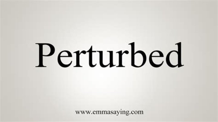 How to explain perturbed?