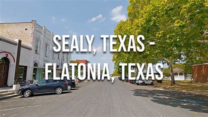 How to say flatonia?