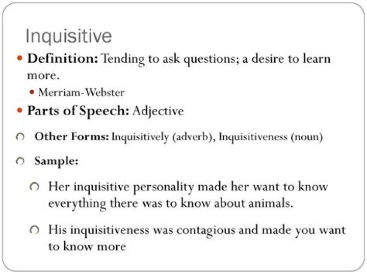 How to use inquisitive in a sentence?