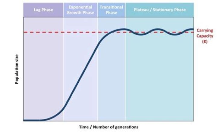 In a population showing sigmoid growth?