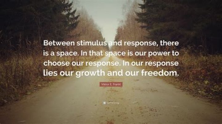 In between stimulus and response there is a space?