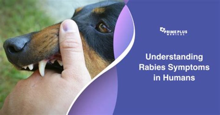 In humans is rabies curable?