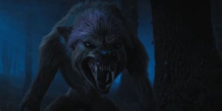 In hunters who is the wolf?