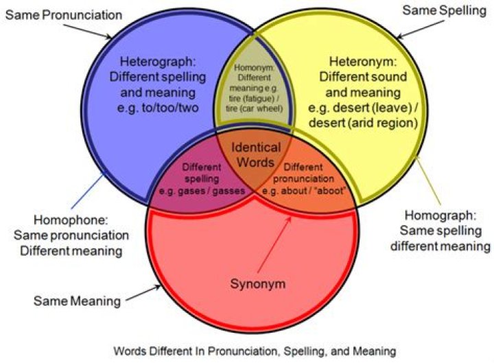 In linguistics what is homophony?