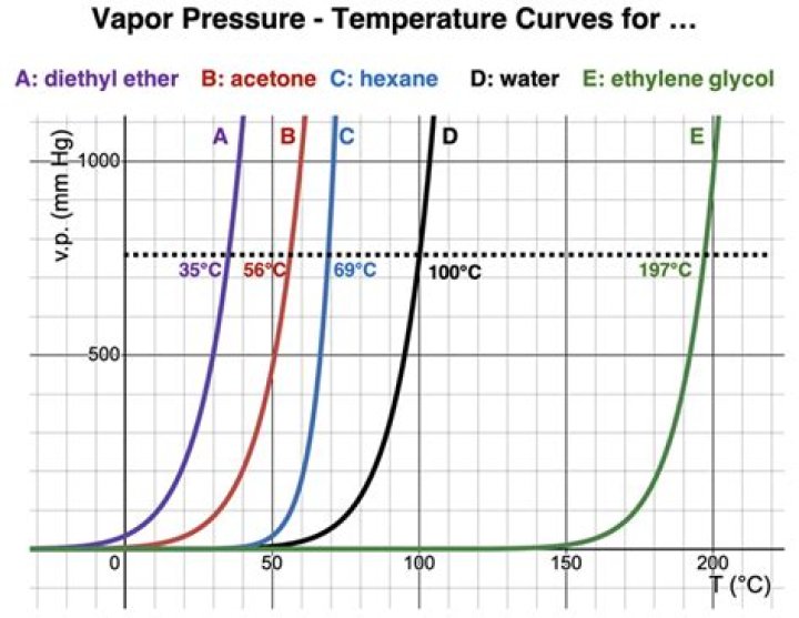 In vapor pressure curve?