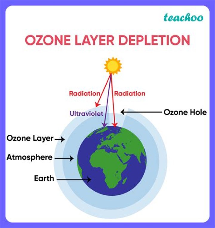 In which layer is the ozone layer located?