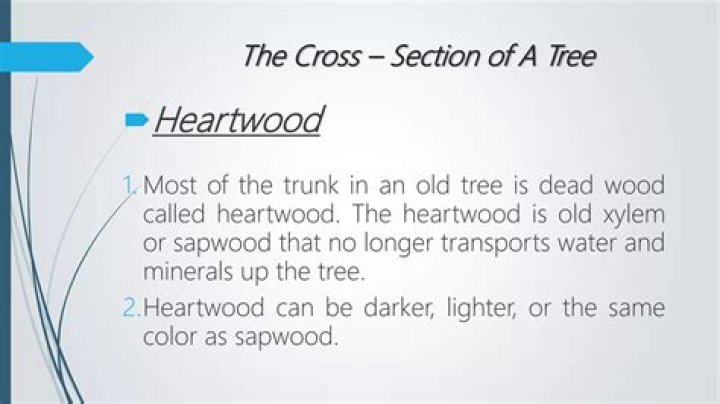 In wood cross section heartwood is?