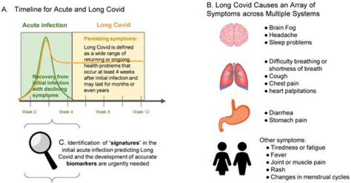 Is an achy stomach a sign of covid?