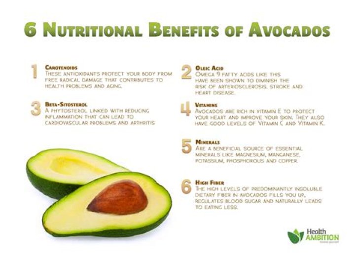 Is avocado good for you?