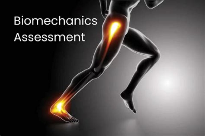 Is biomechanical one word or two?