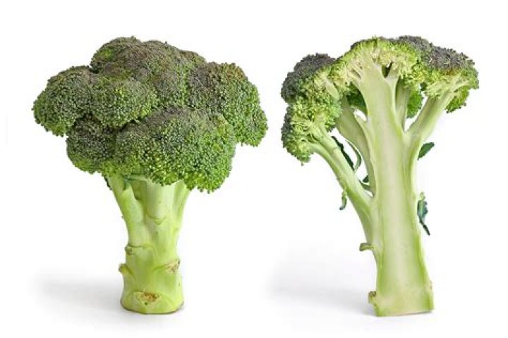 Is broccoli a vegetable?