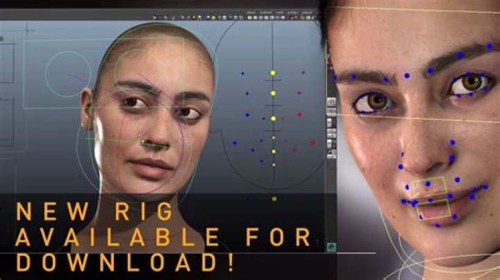 Is face rig free?