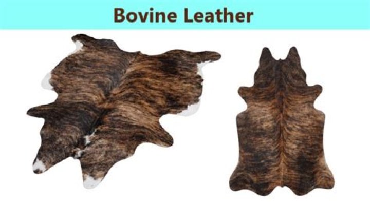 Is genuine leather made from animals?