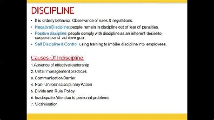 Is indiscipline a noun?