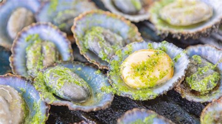 Is it safe to eat limpets?