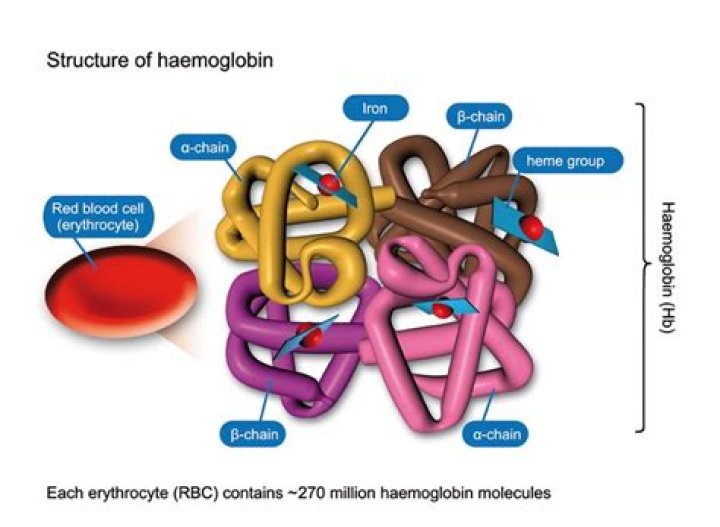 Is oxyhaemoglobin a acid?