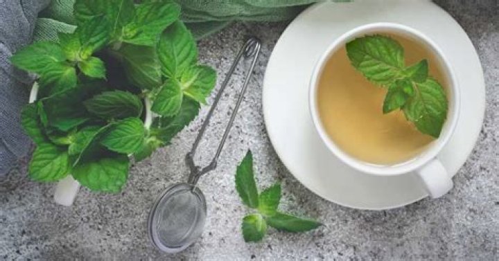 Is peppermint tea good for you?