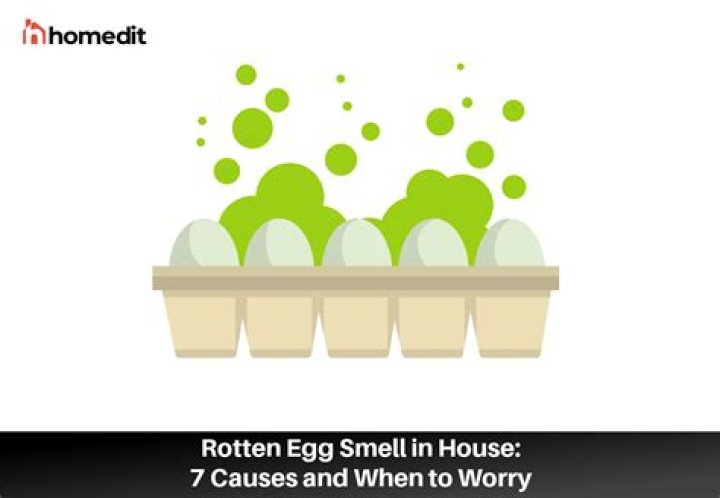 Is rotten egg smell dangerous?
