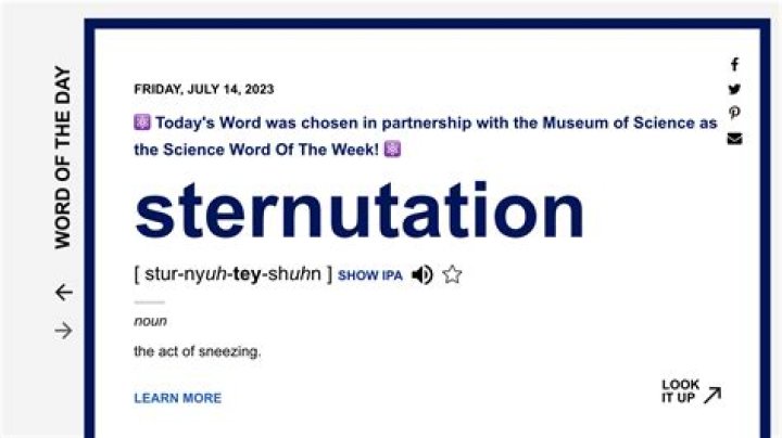 Is sternutation a word?