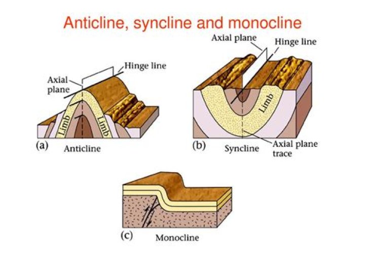 Is syncline a monocline?