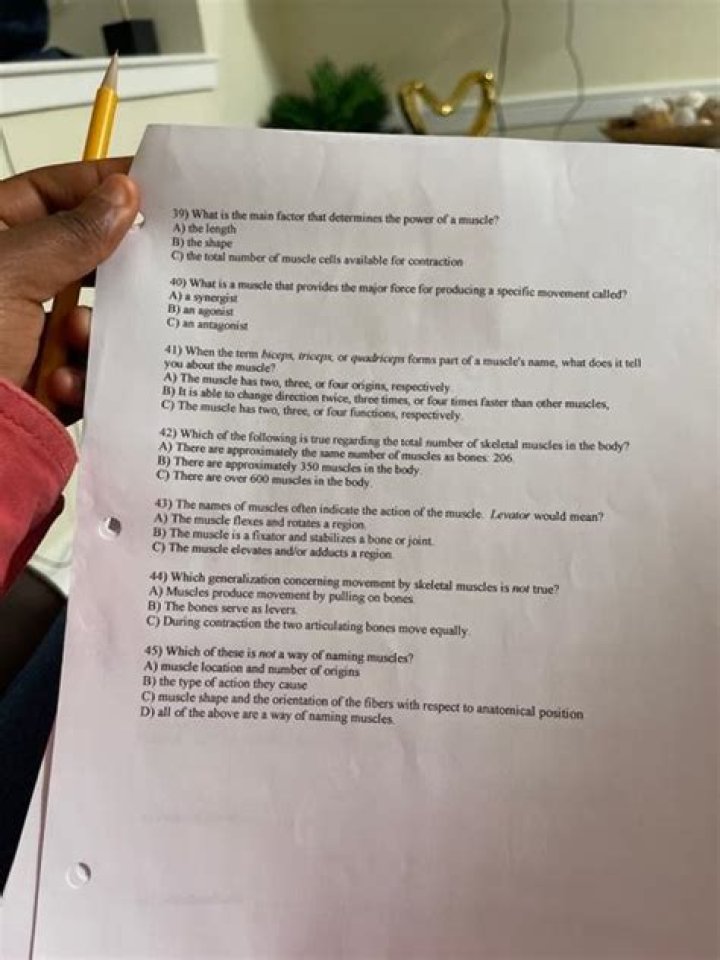 Is the main factor that determines the power of a muscle?