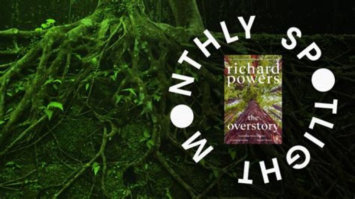 Is the overstory short stories?