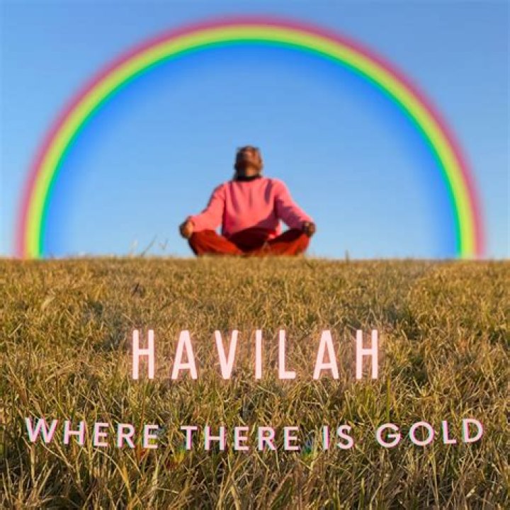 Is there gold in havilah?