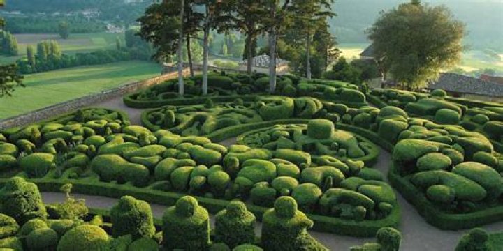 Is topiary a french word?