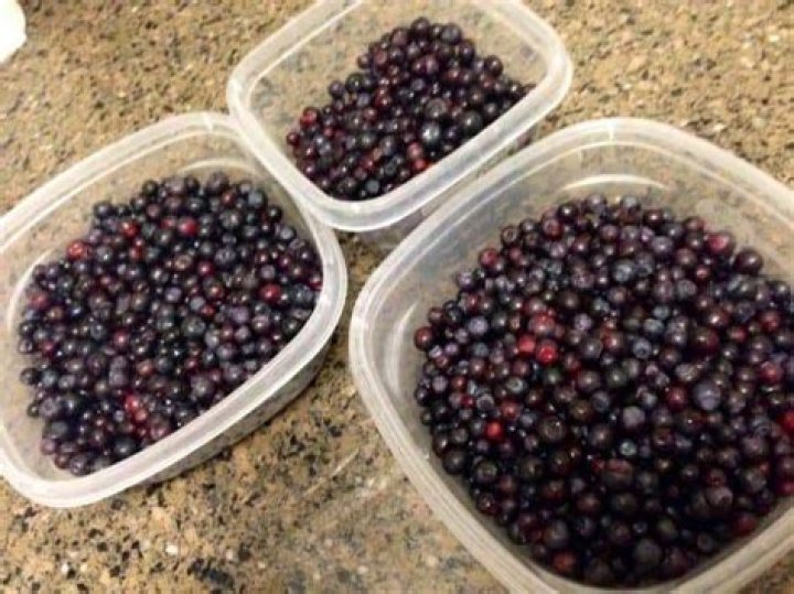 Should you keep huckleberries in the fridge?