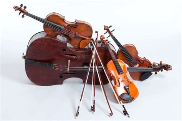 Was a popular plucked instrument of the baroque period?