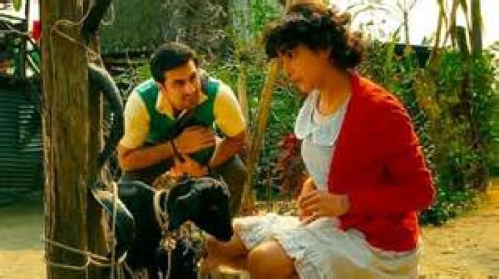 Was barfi a hit?