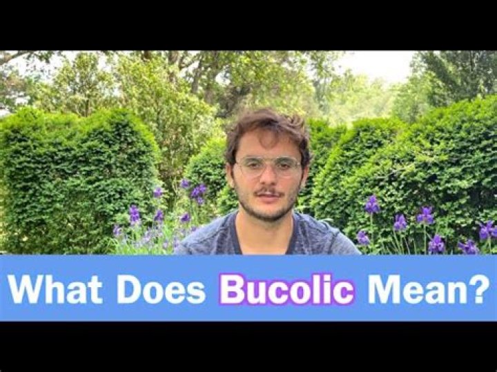 Was does bucolic mean?