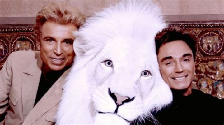 Was siegfried and roy romantically involved?