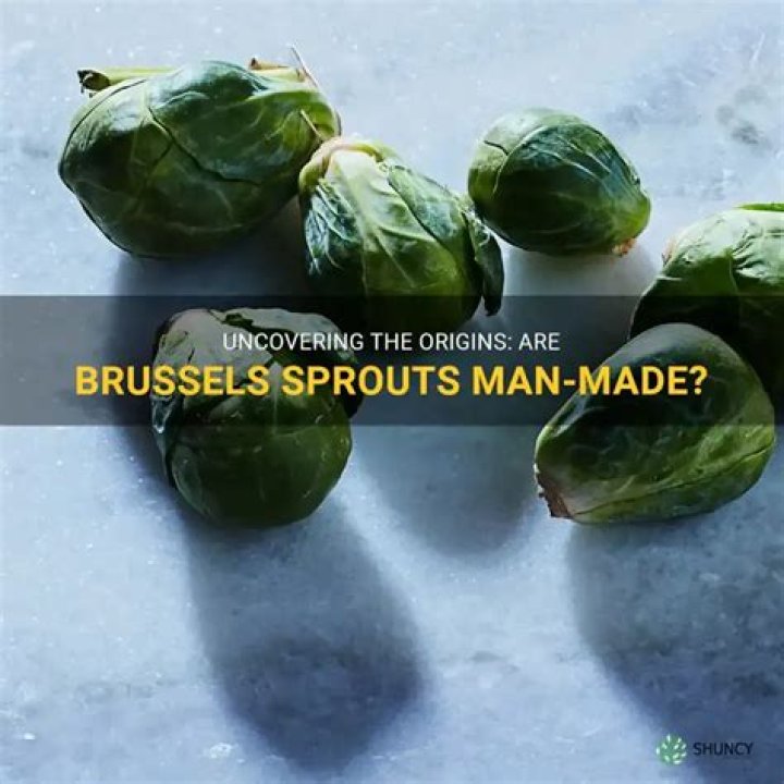 Were brussel sprouts man made?