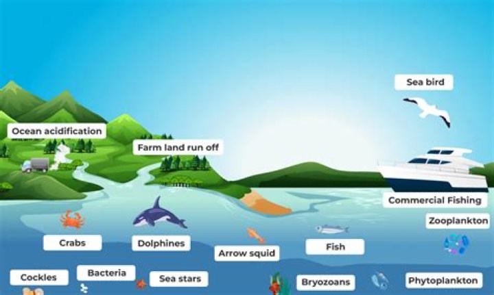 What aquatic biome is characterized by flowing freshwater?