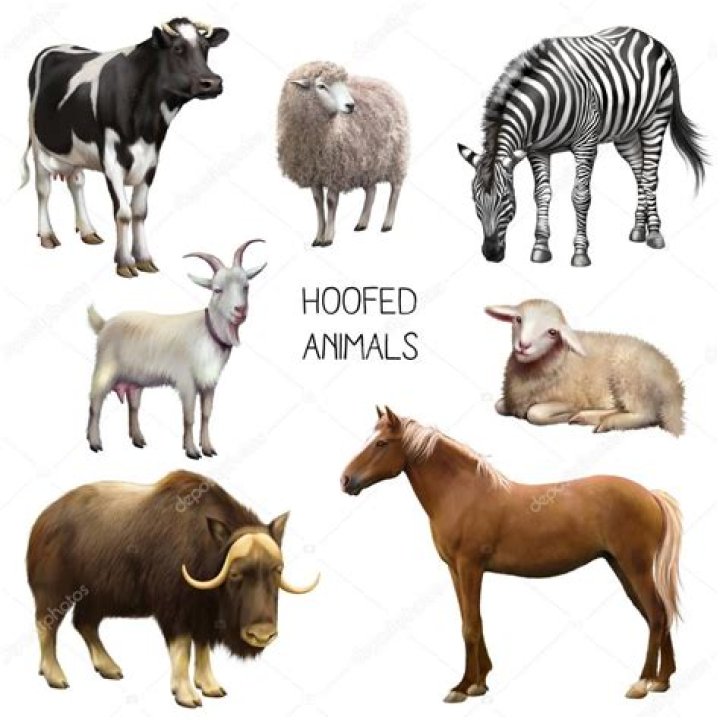 What are hoofed animals?