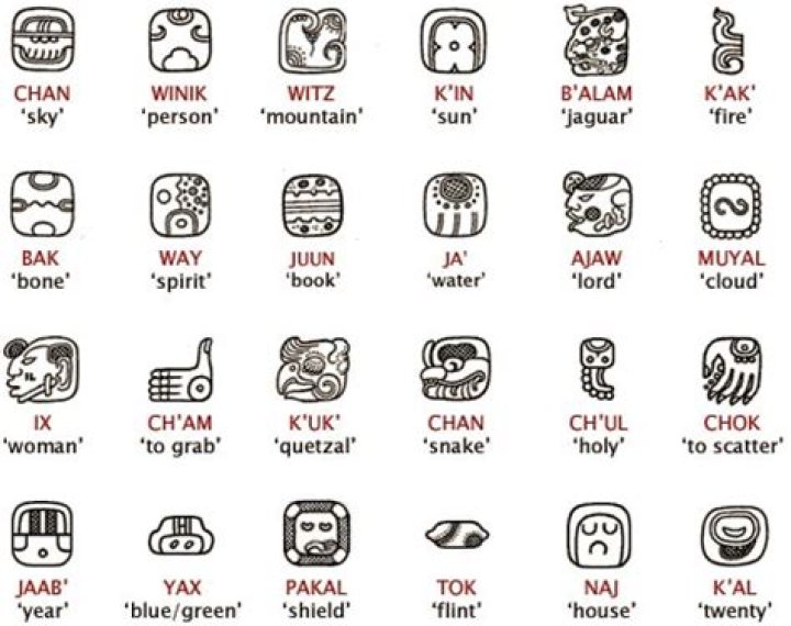 What are maya logograms?