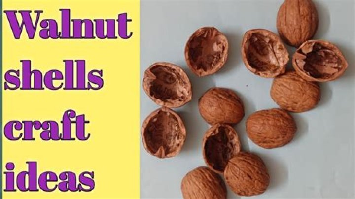 What are nut shells made of?