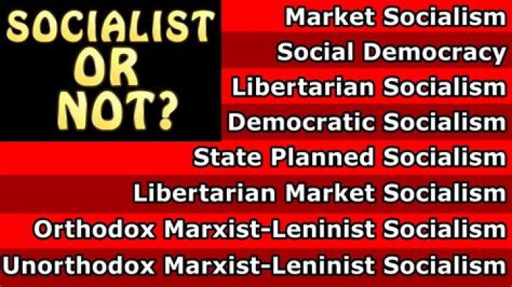 What are socialist ideals?
