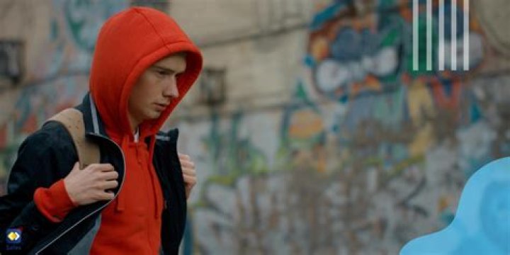 What are the effects of vandalism in schools?