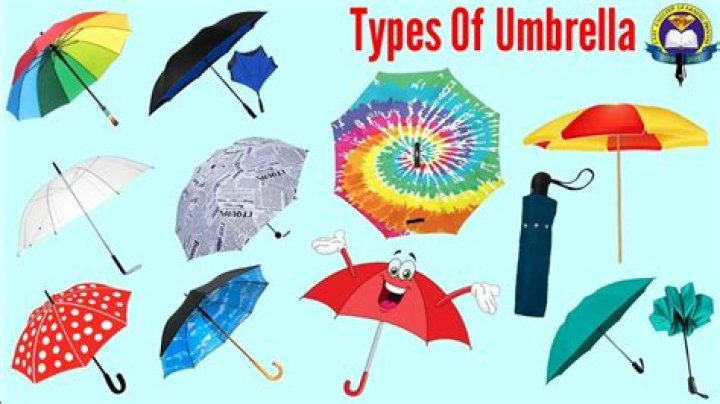 What are umbrella terms?
