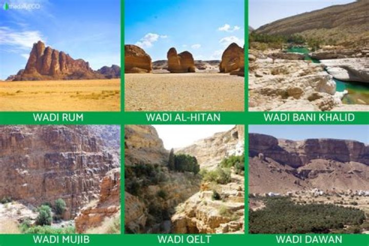 What are wadis and oases?
