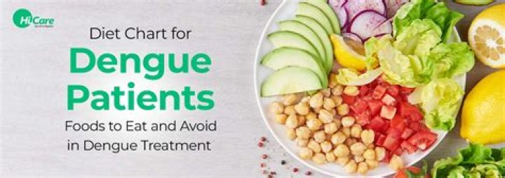 What dengue patients should eat?