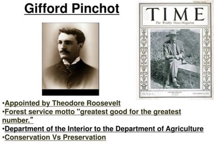 What did gifford pinchot do for the environment?