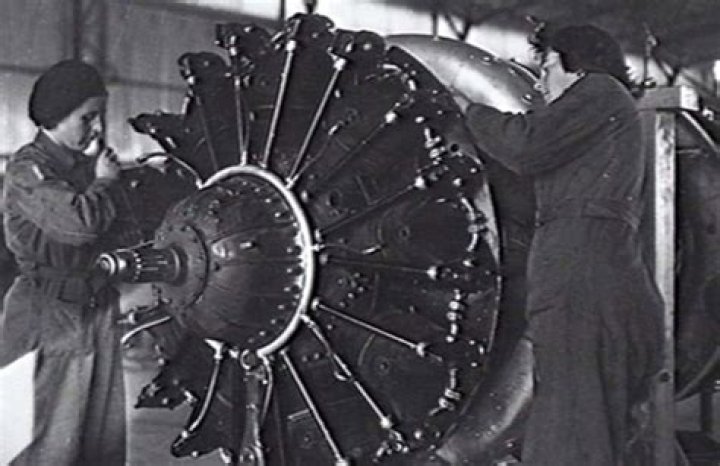 What did the waaaf do?