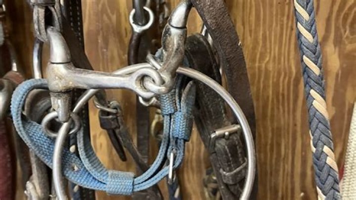 What does a snaffle bit do?